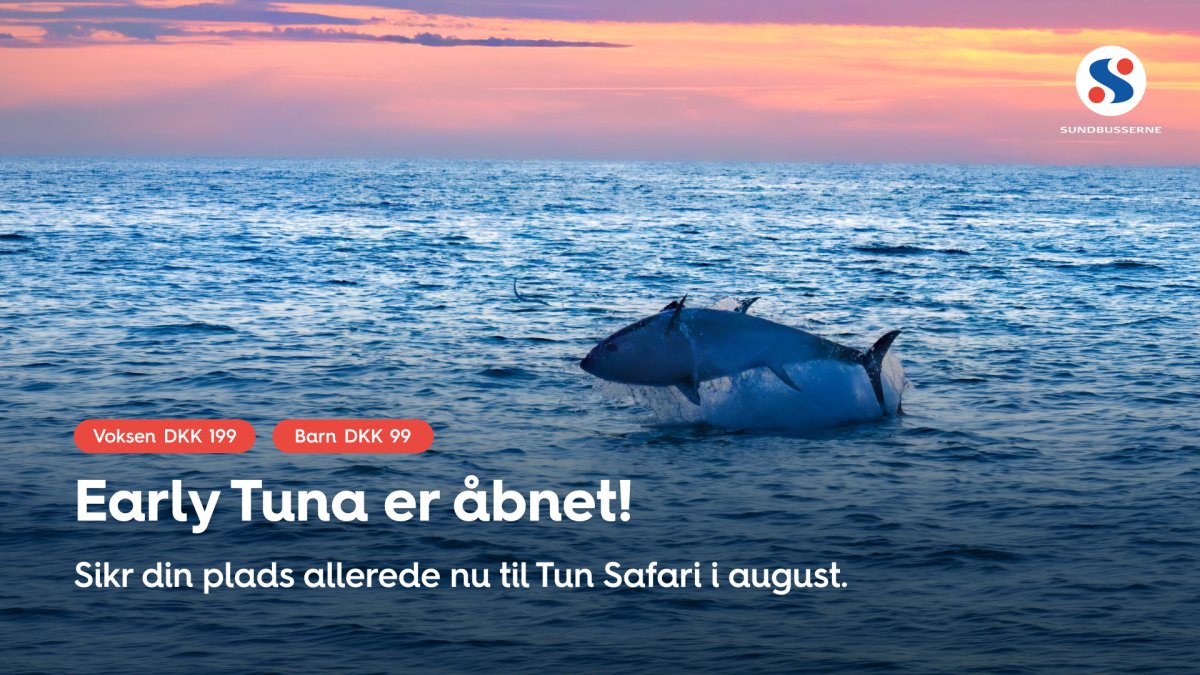 Tun safari