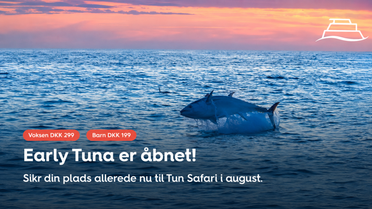 Tun safari